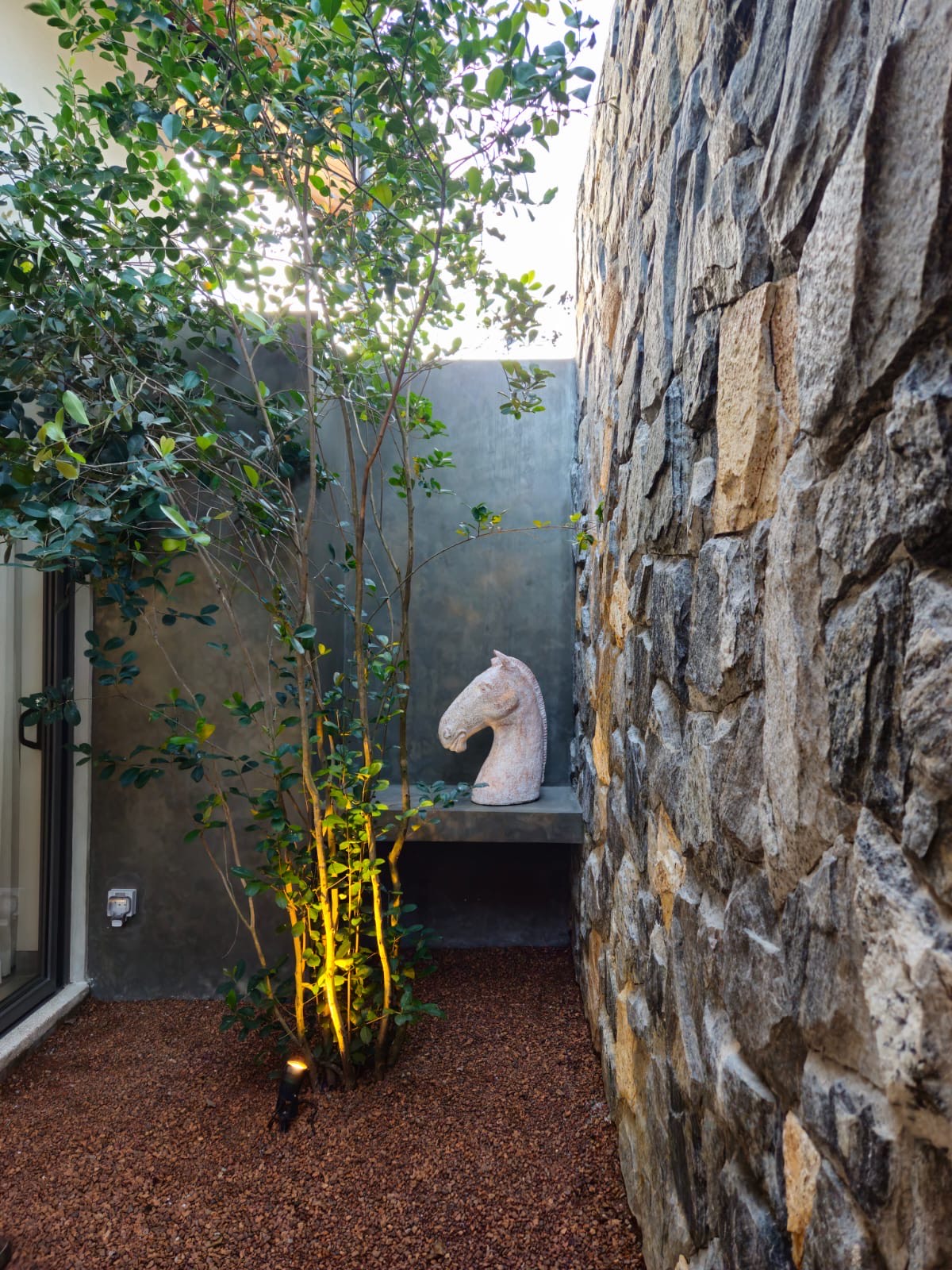 Courtyard sculpture garden